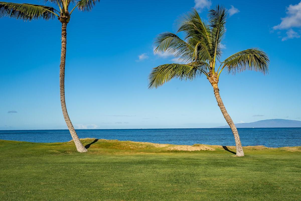 Maui Sunset B-115 Lejlighed Kihei Eksteriør billede